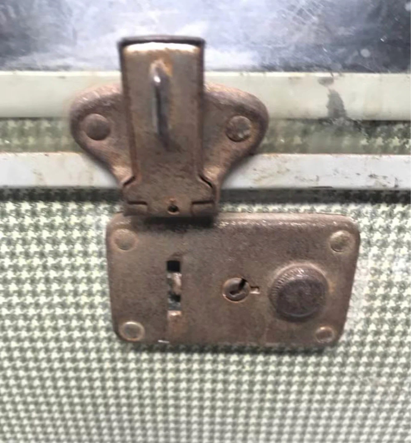 Vintage Pet Carrier with Metal Latch - photo 4