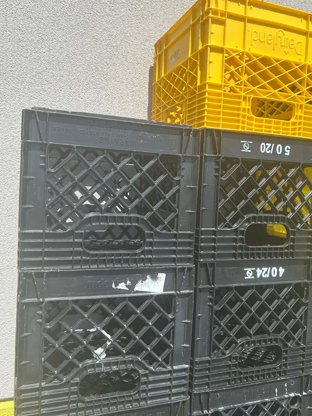 Dairymaid Milk Crates - Black and Yellow