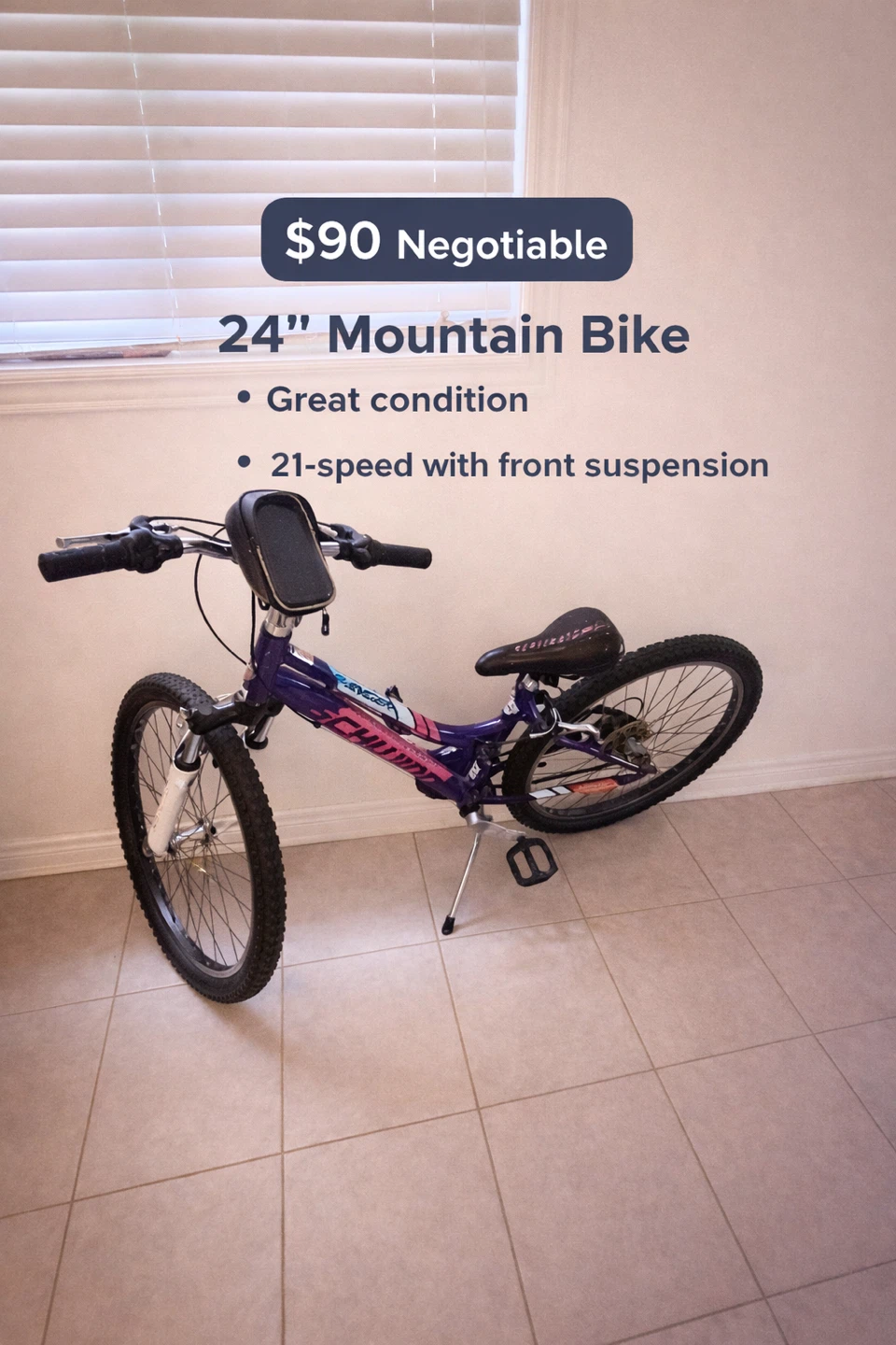 Schwinn 24" Mountain Bike