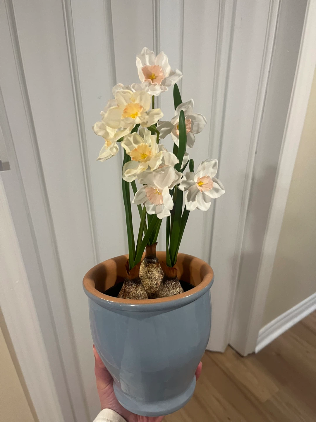 Artificial Daffodils in Blue Pot
