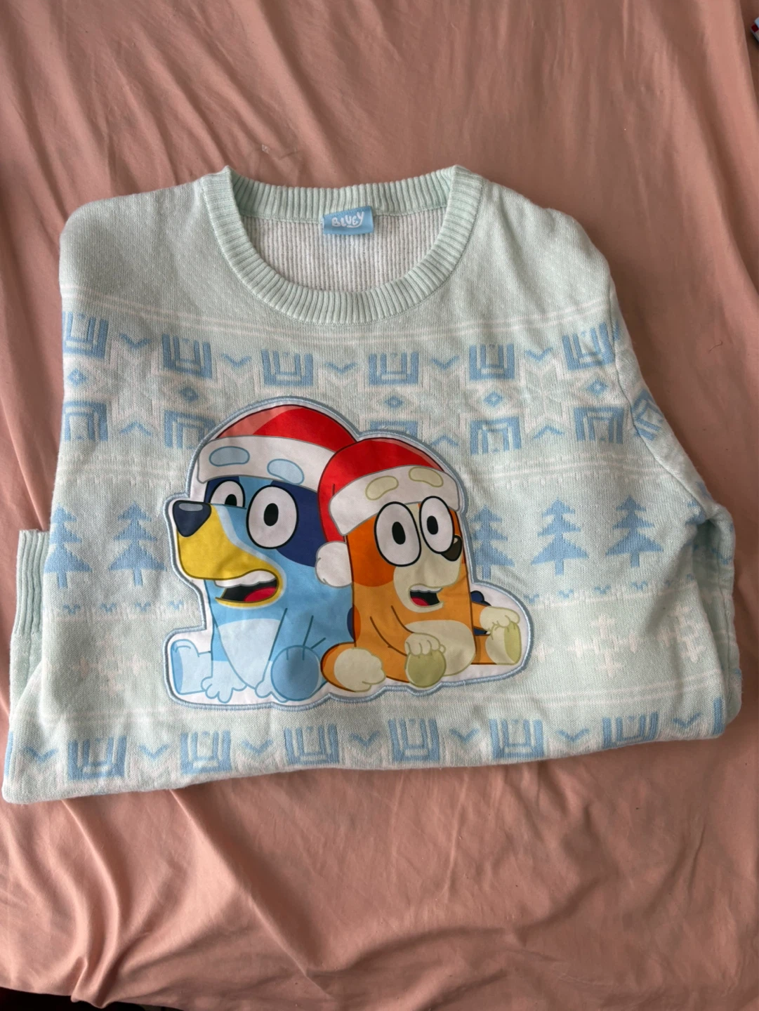 Bluey and Bingo Christmas Sweater