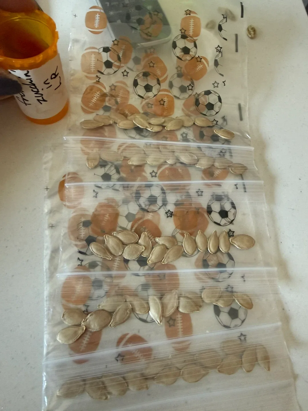 Italian Giant Zucchini Seeds - photo 5