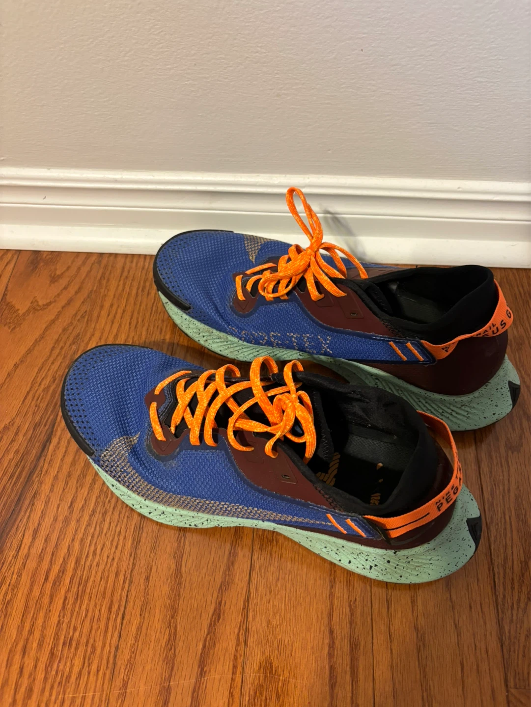 Nike Air Zoom Pegasus 37 Trail GTX Running Shoes