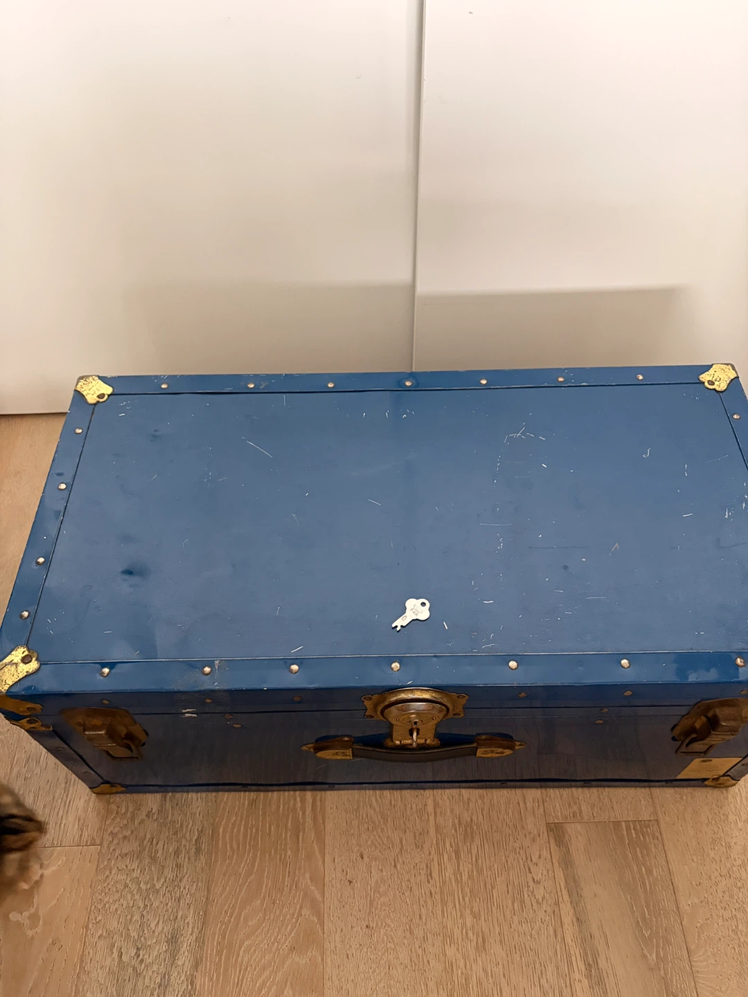 Blue Vintage Trunk - photo 3