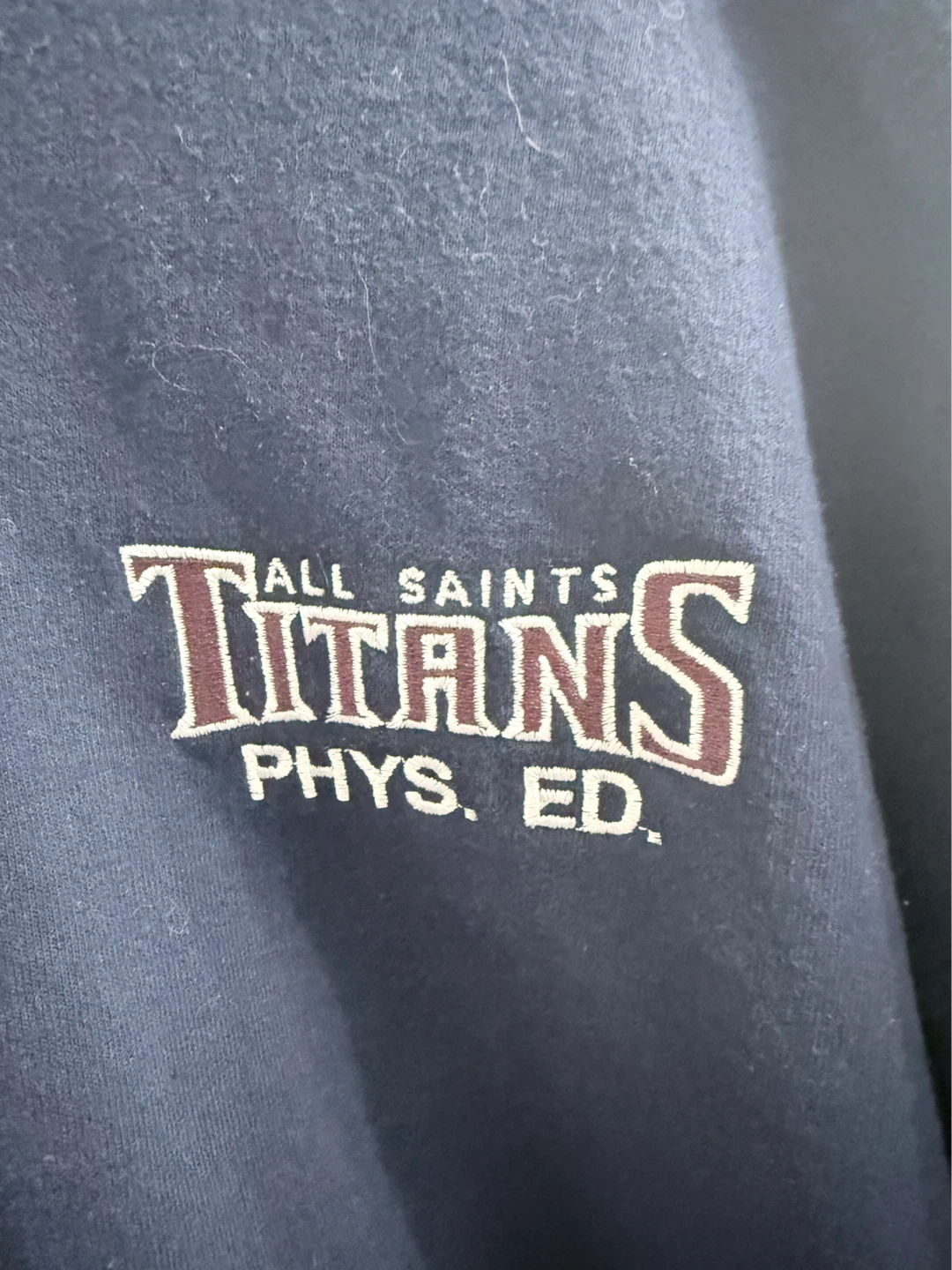 Gildan All Saints Titans Phys. Ed. Zip-Up Hoodie
