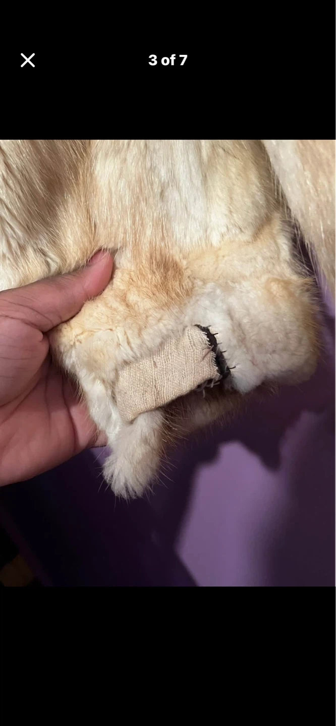 D. Hindy & Sons Limited Furriers Beige Fur Coat - photo 3
