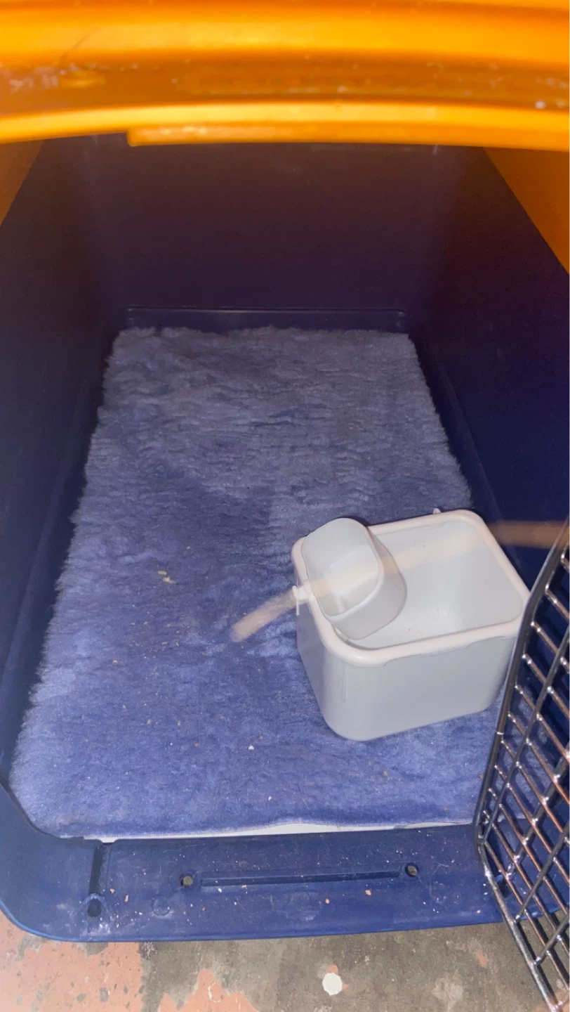 Orange and Blue Pet Carrier - photo 4