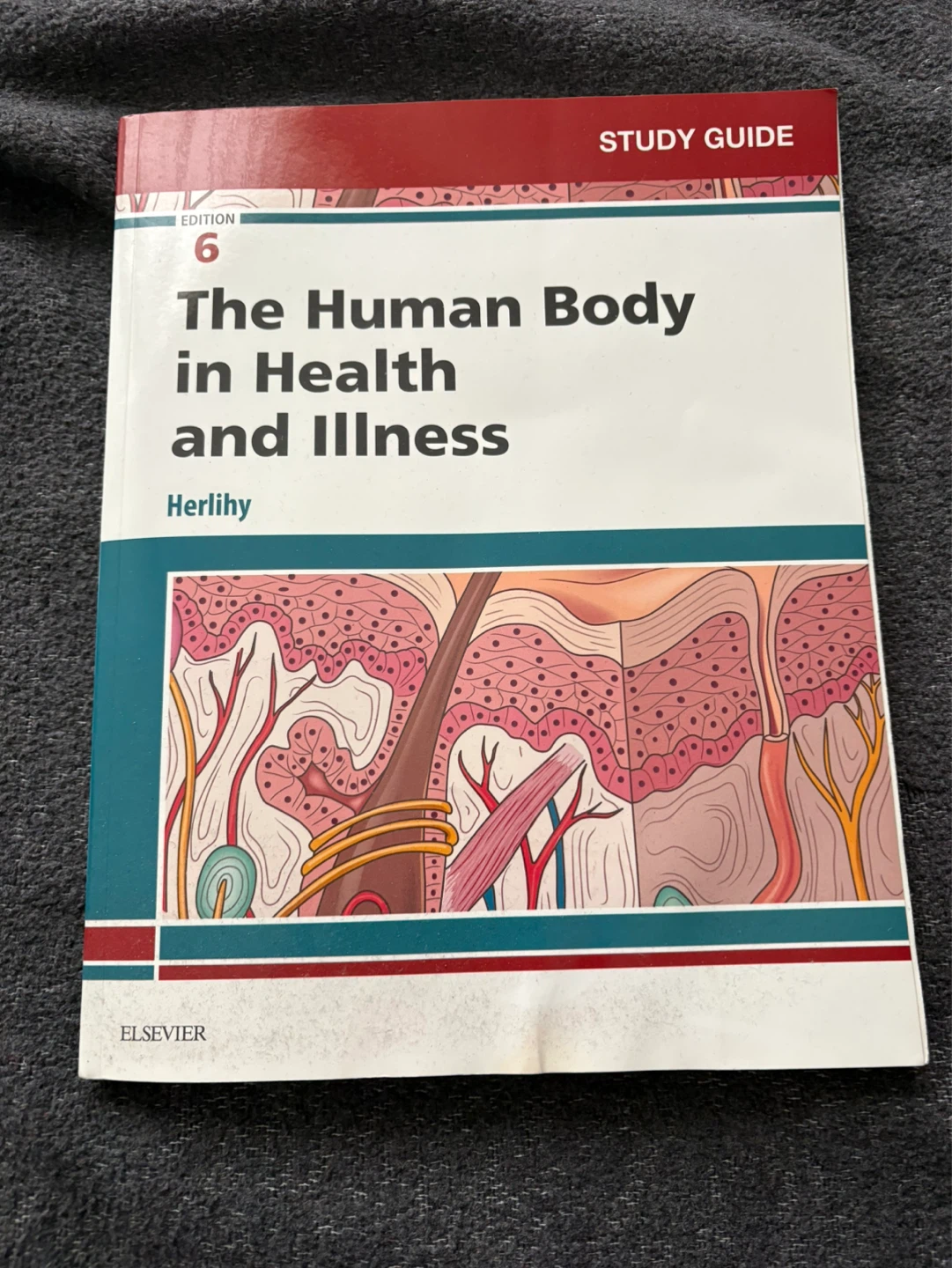 The Human Body in Health and Illness Study Guide