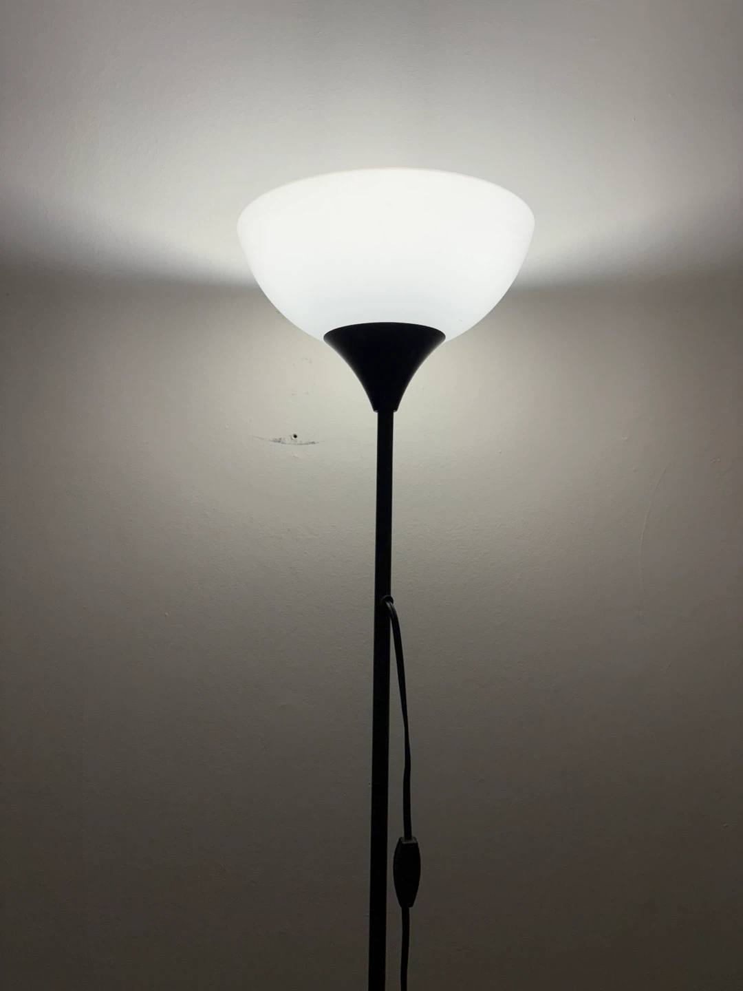 Black Floor Lamp with White Shade - photo 2