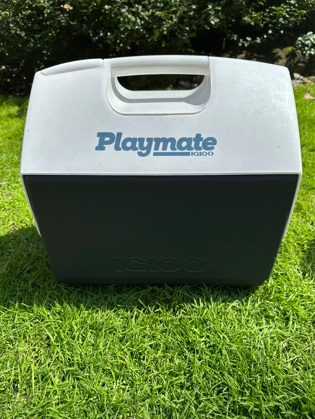 Igloo Playmate Cooler (30 can)