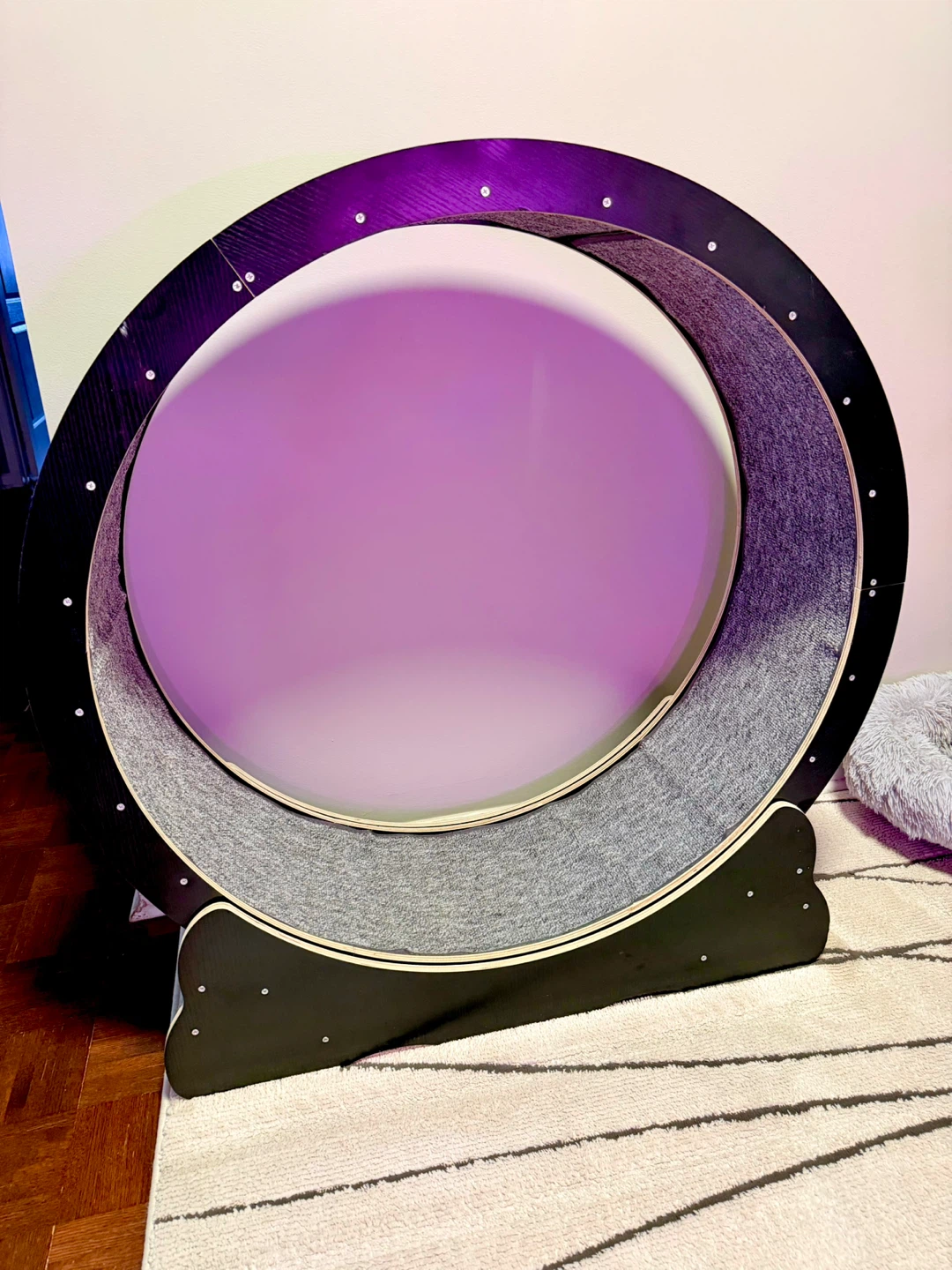 Large Black Cat Wheel