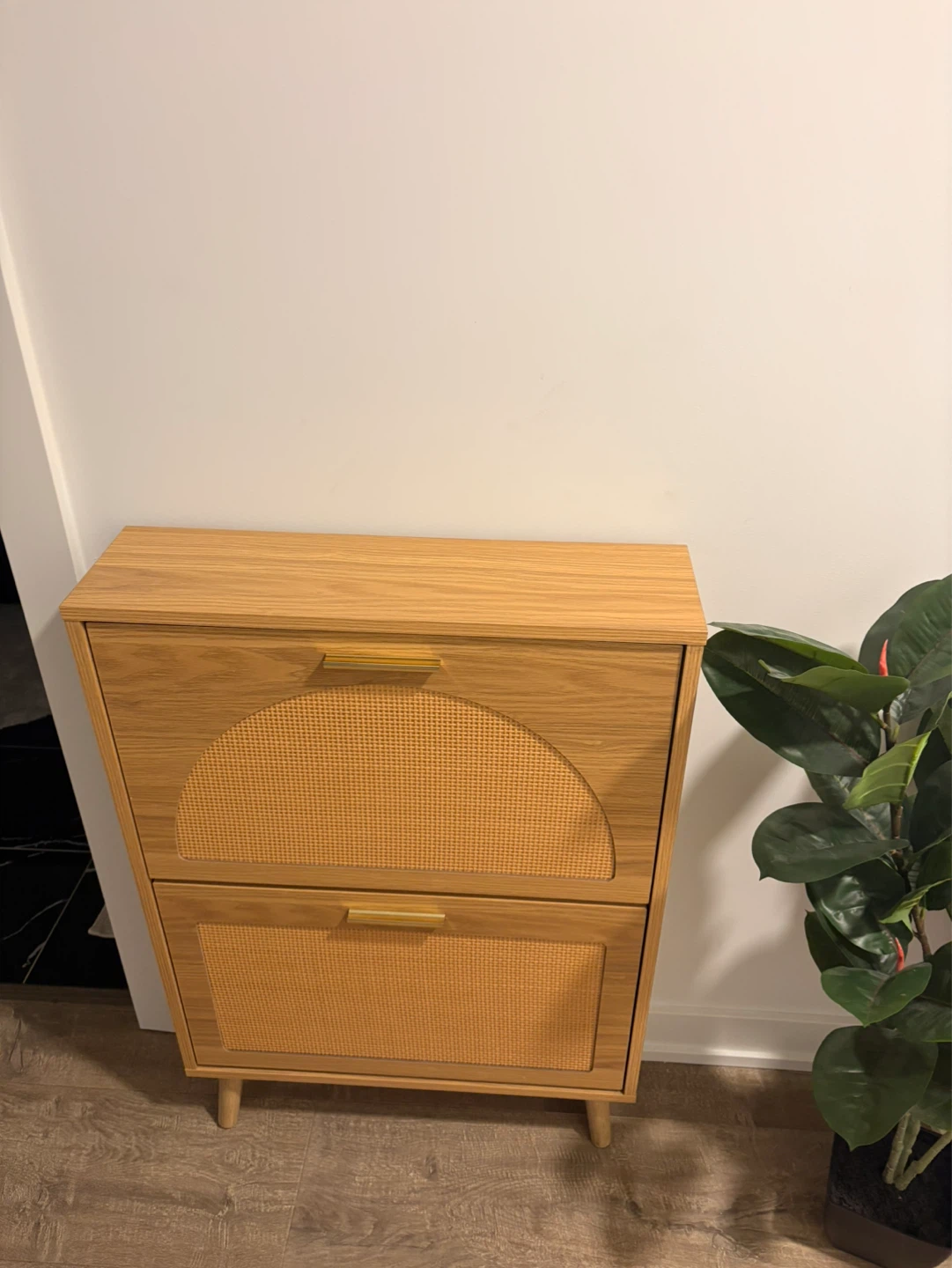Wooden Shoe Cabinet with Cane Fronts - photo 2