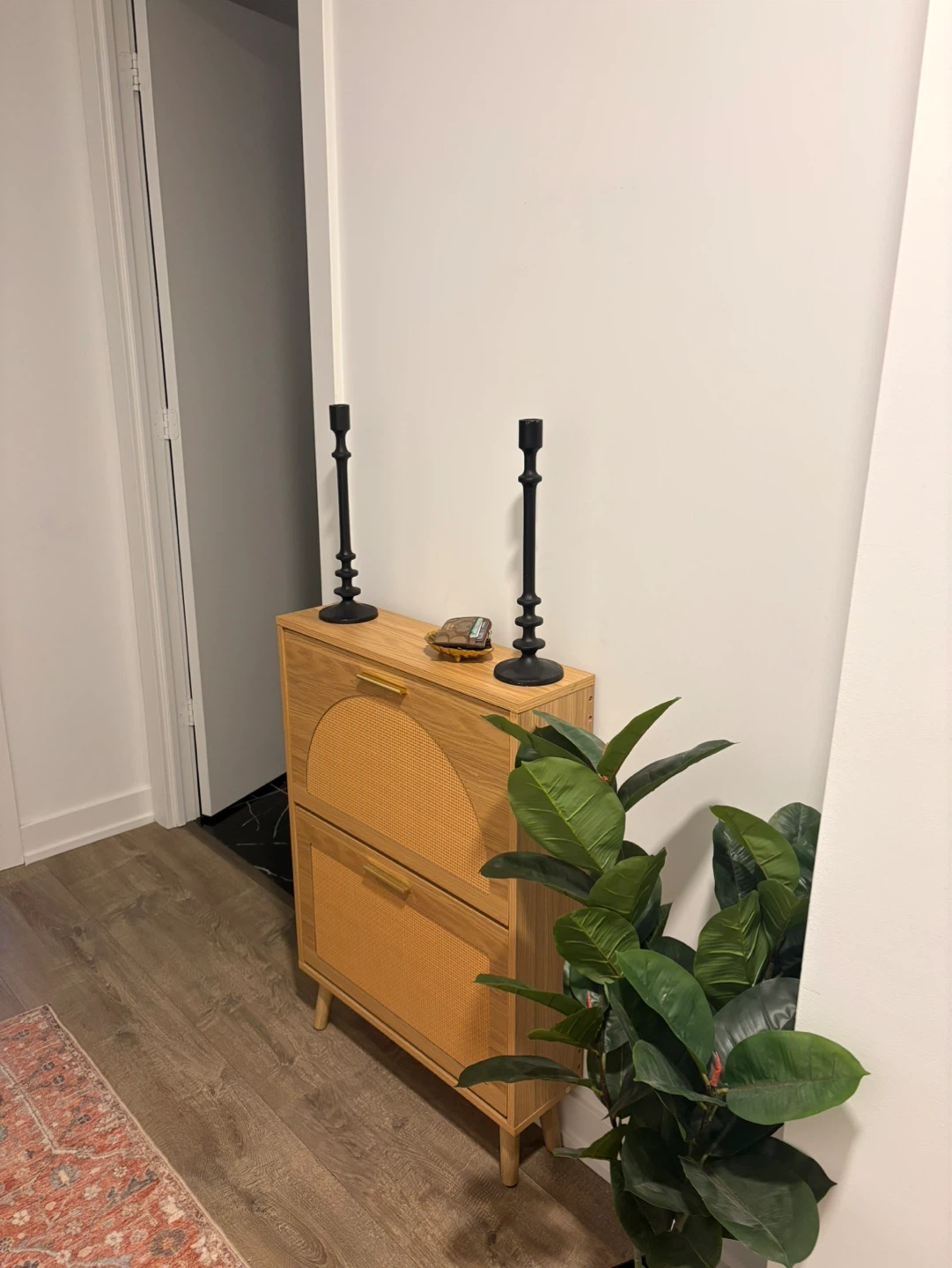 Wooden Shoe Cabinet with Cane Fronts
