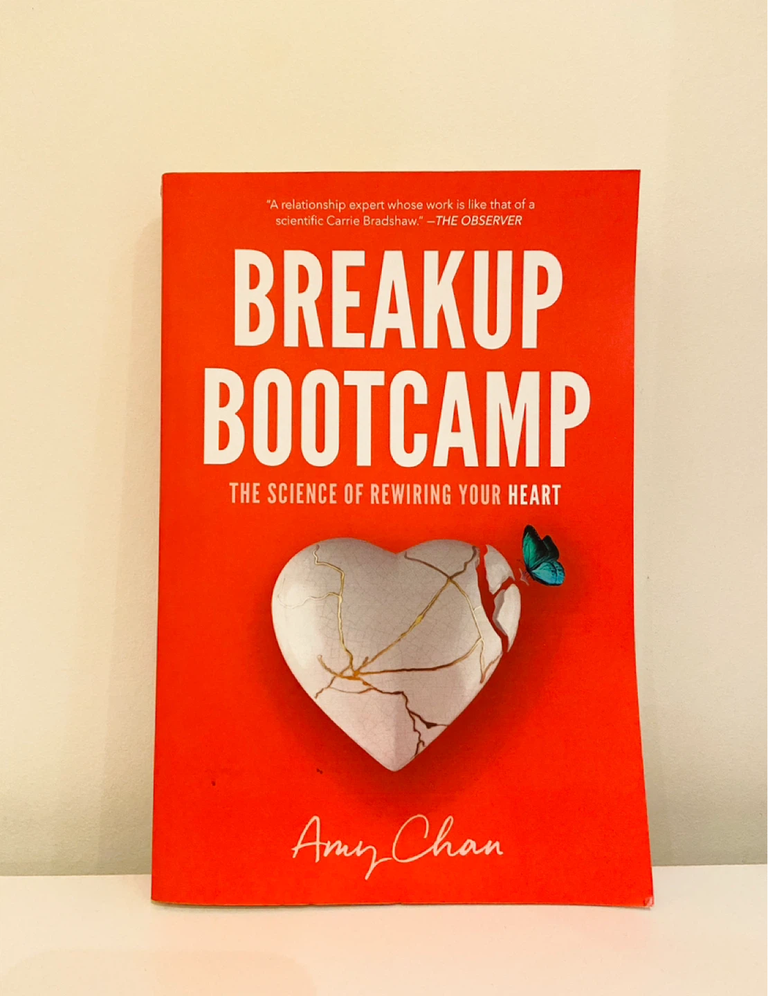 Breakup Bootcamp by Amy Chan