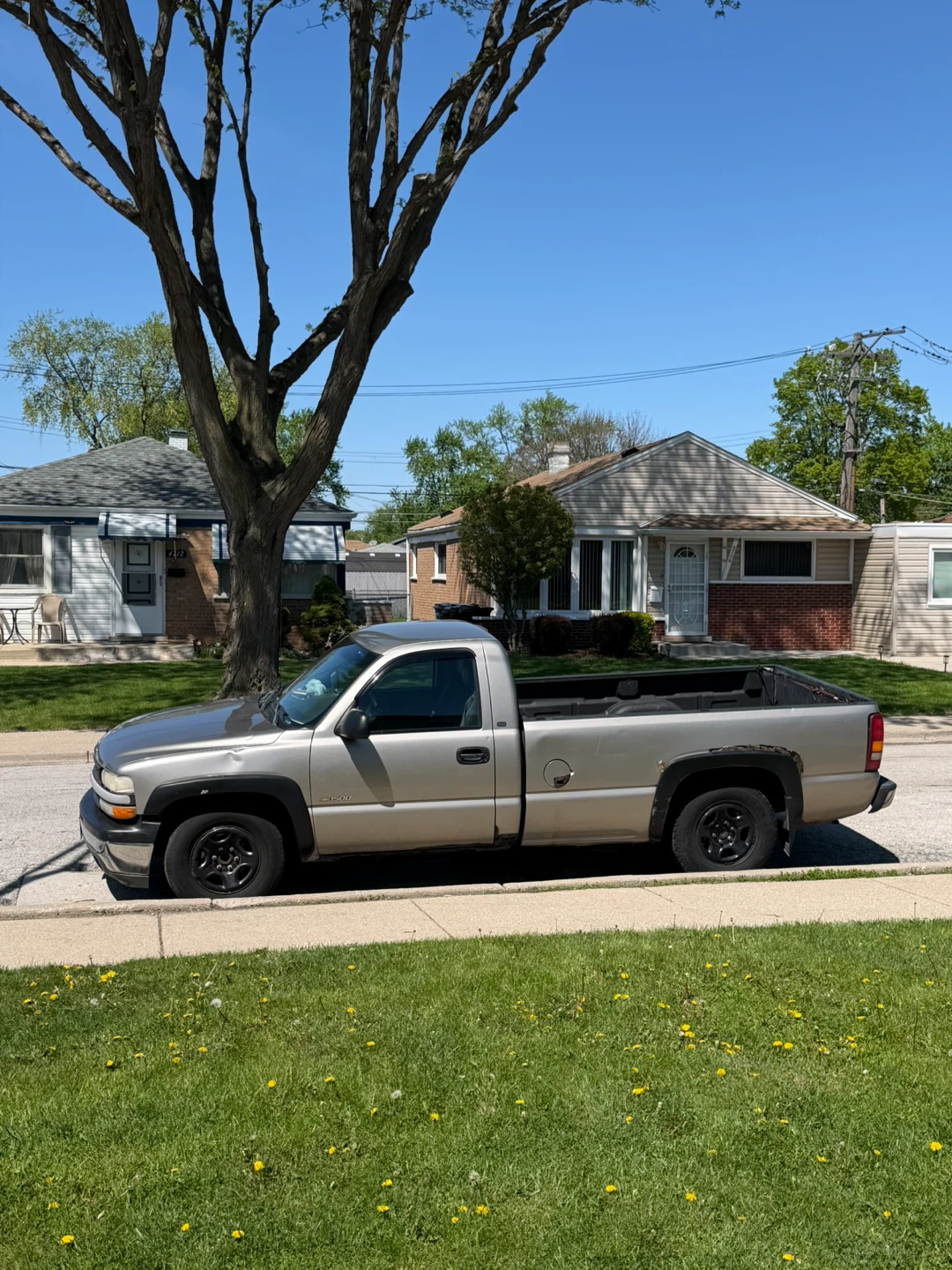 2003 Chevrolet Silverado 1500 Pickup Truck - photo 2