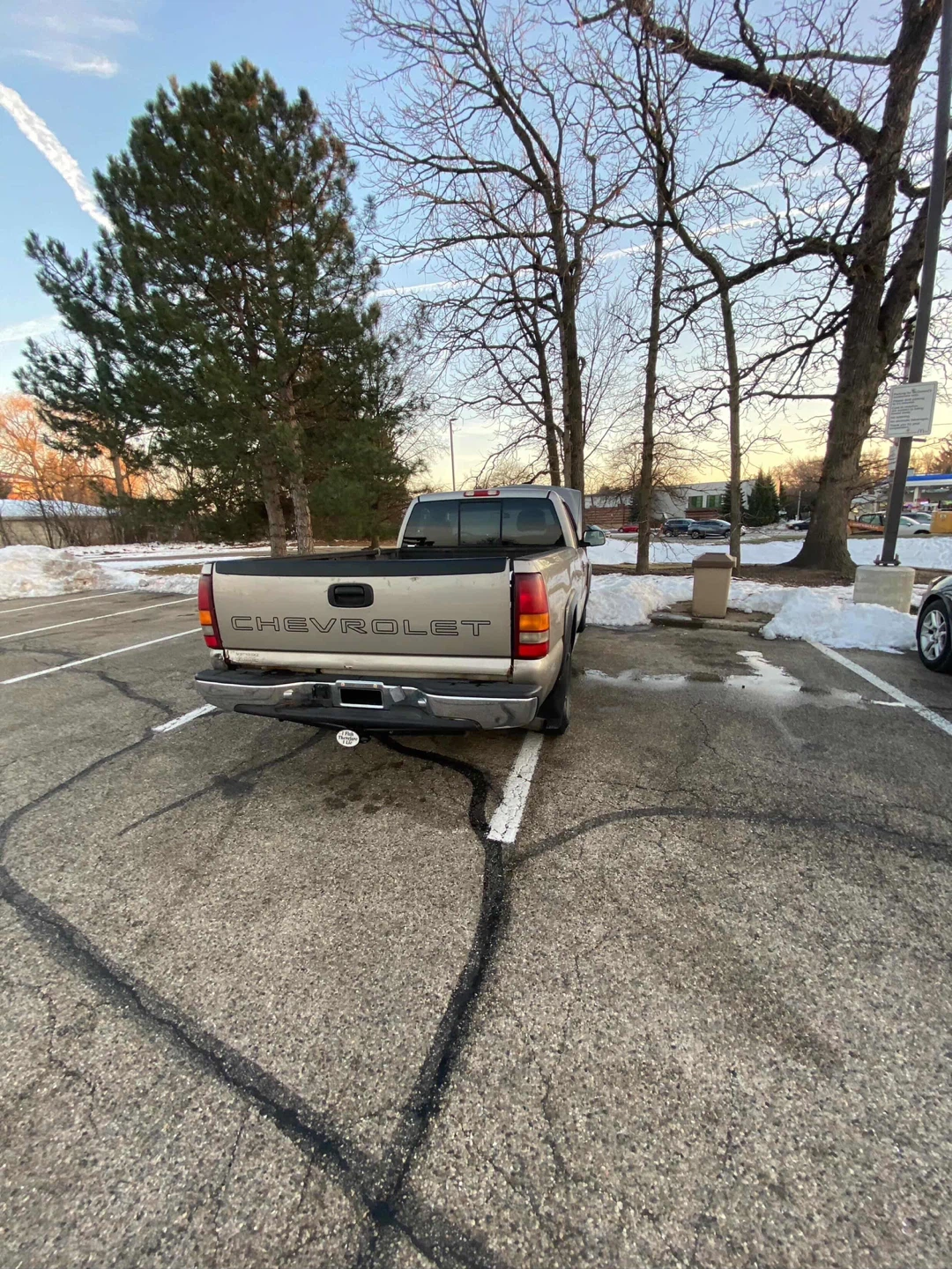 2003 Chevrolet Silverado 1500 Pickup Truck - photo 3