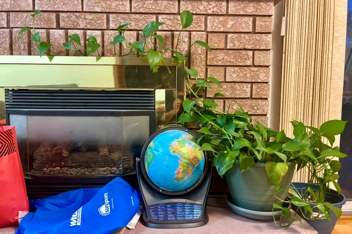 2x Pothos Plant