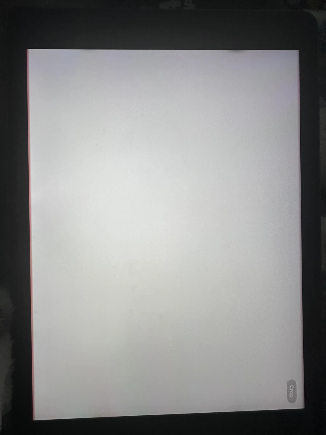 Apple iPad Tablet