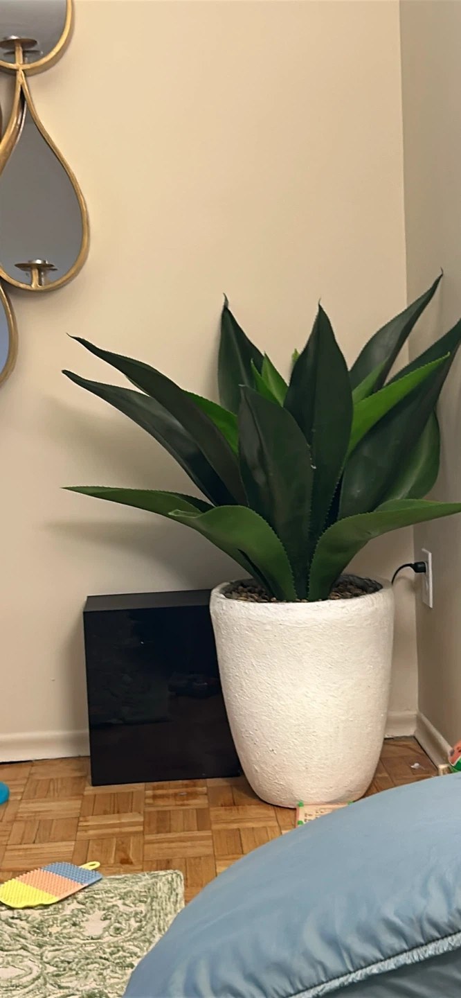 Faux Agave Plant in White Pot