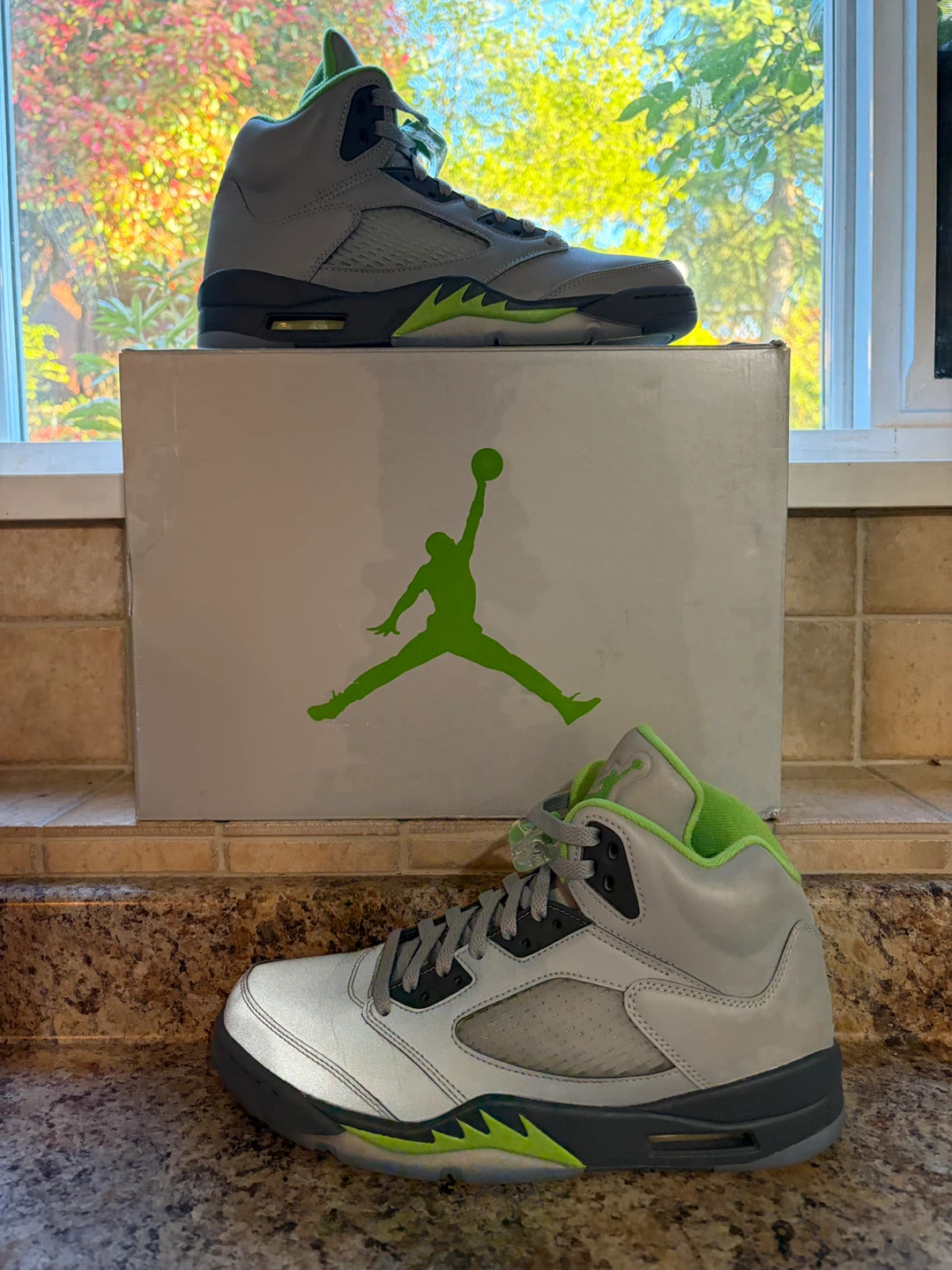 Air Jordan 5 Retro "Green Bean"