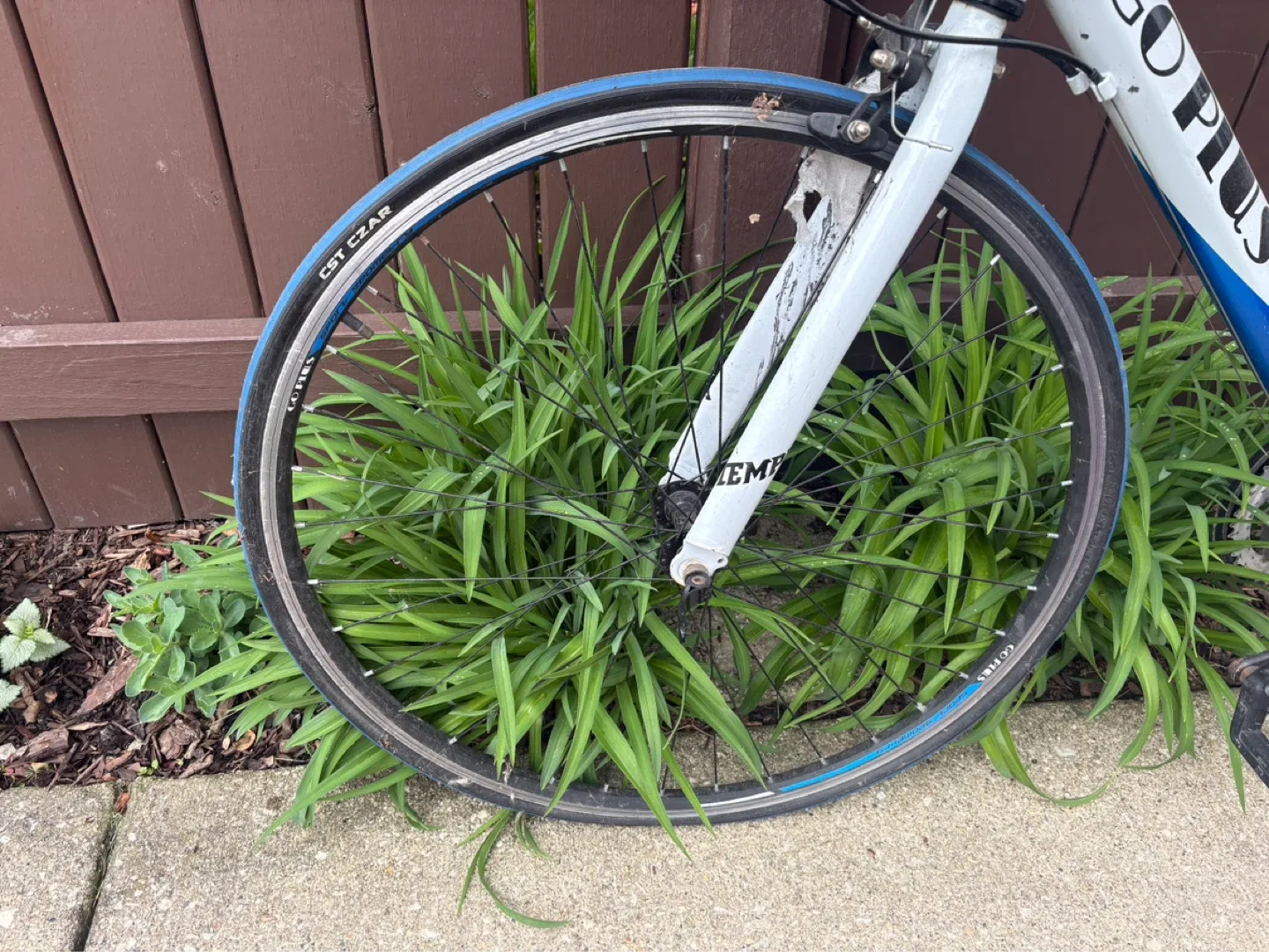 GO PLUS TEMPE Road Bike - photo 5