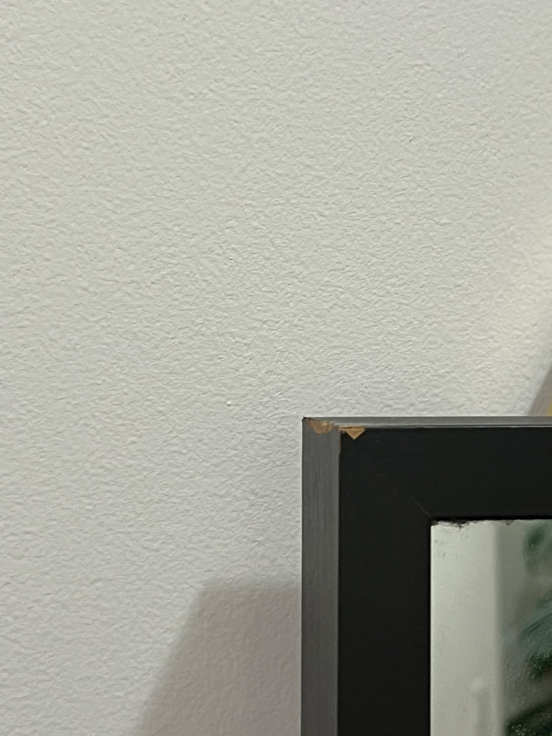 Oversized Full Length Mirror - Black Frame - photo 4