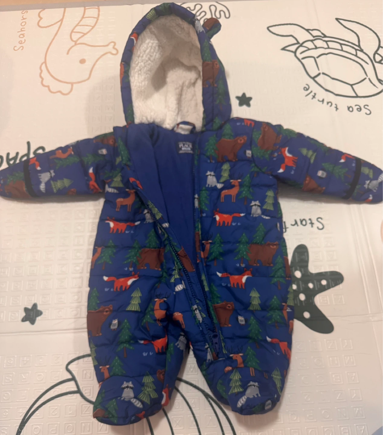 The Children's Place Baby Bunting Snowsuit 0-3M