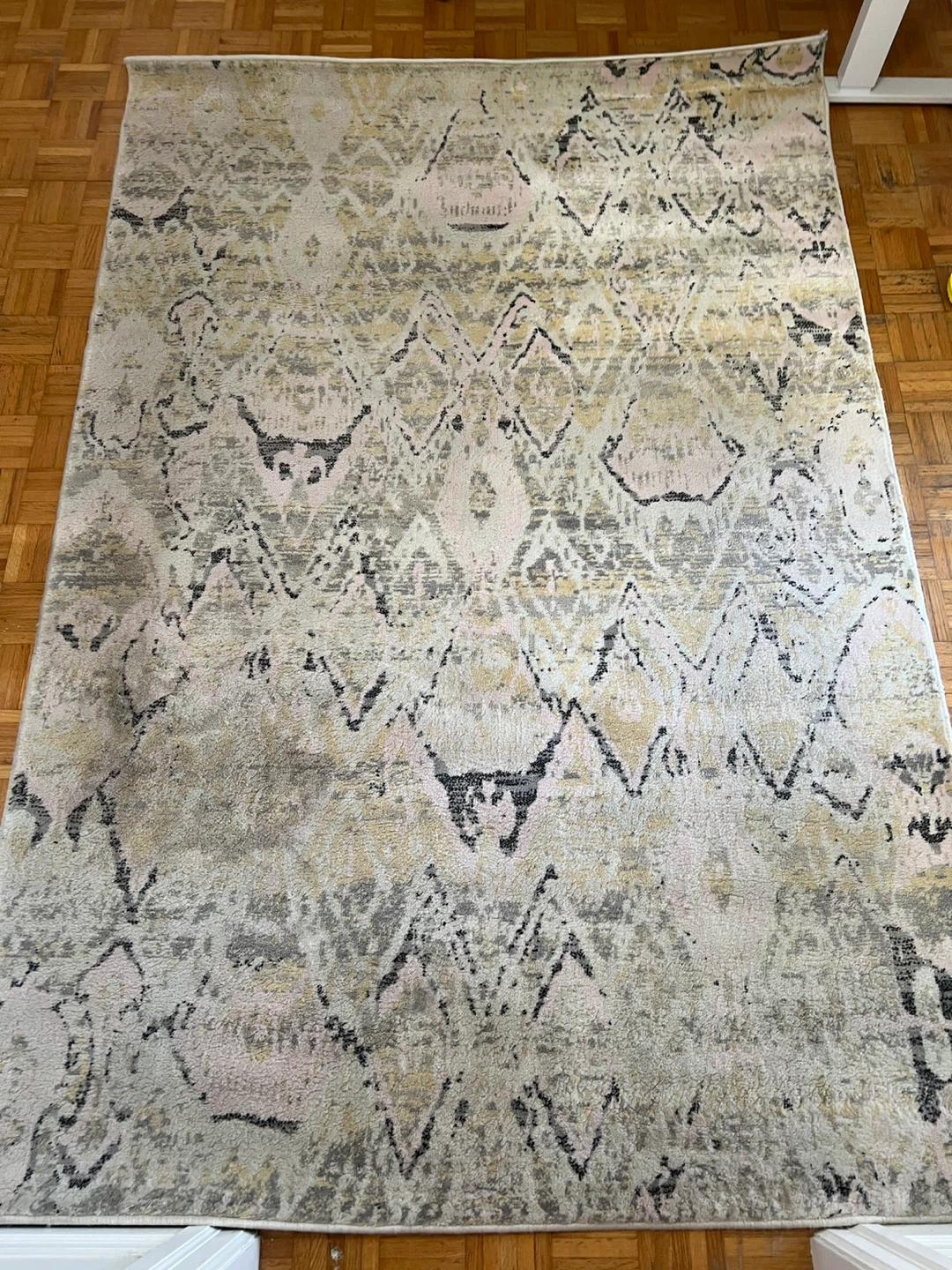 Area Rug - photo 2