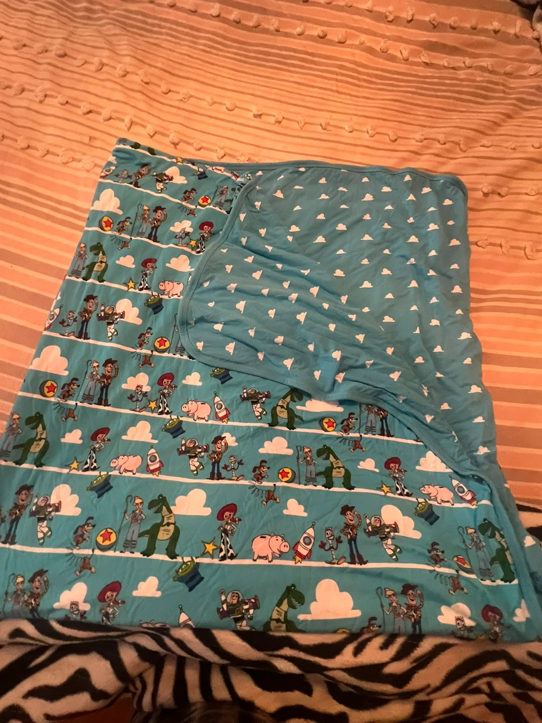 Toy Story "Friends" Blanket