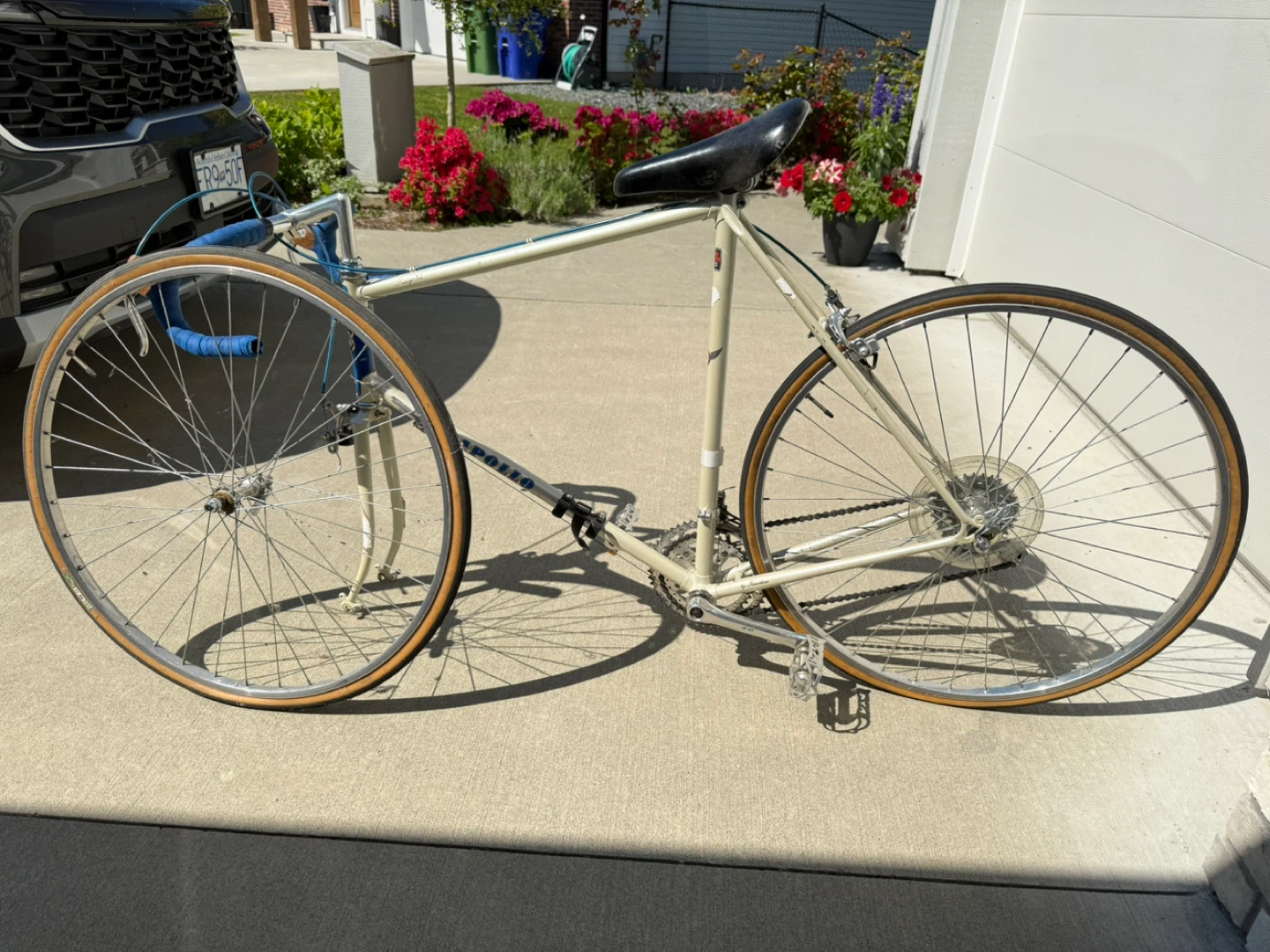 Apollo Road Bike