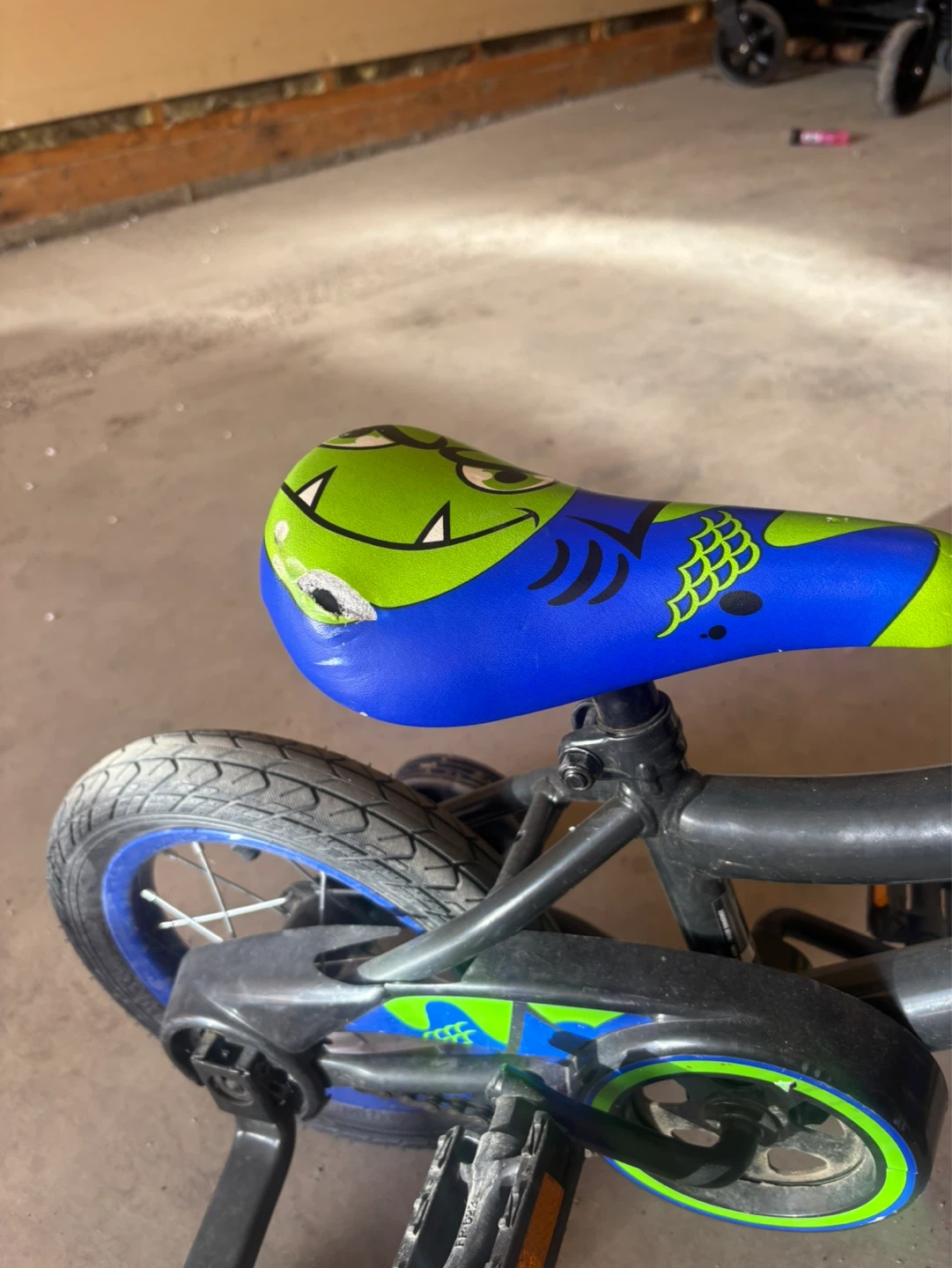 Kids Adventure Bike