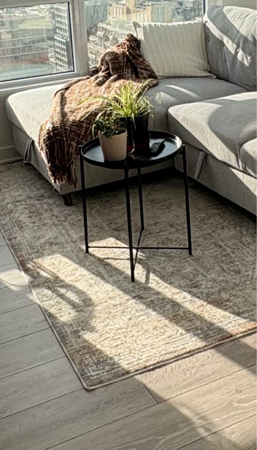 Homesense Turkish Rug (5 x 8 feet) - photo 2