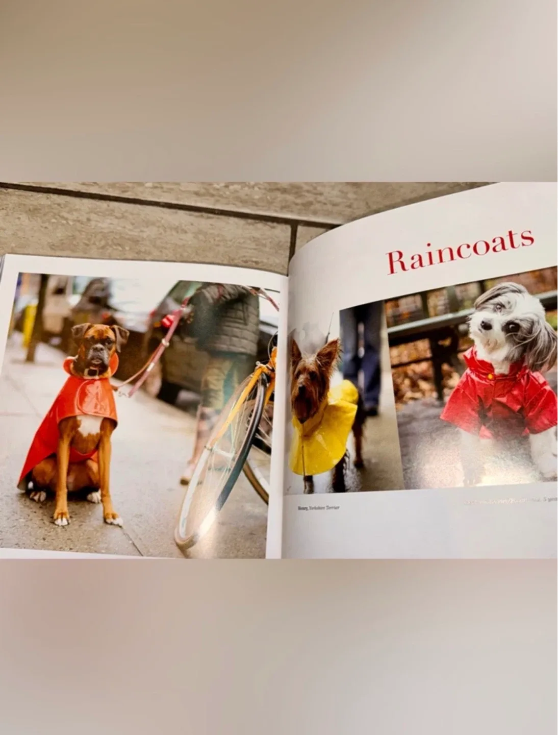 THE DOGIST Anthropologie Coffee Table Photography Hardcover Book - photo 5