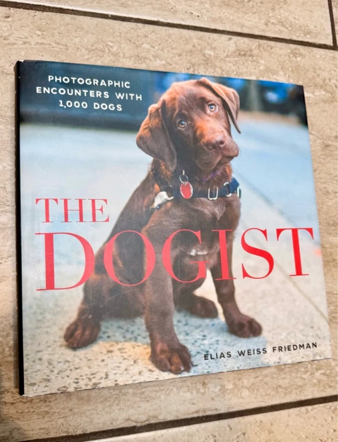 THE DOGIST Anthropologie Coffee Table Photography Hardcover Book