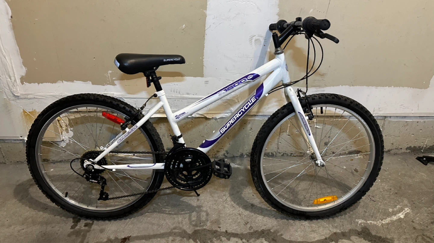24” Supercycle SG1800 Bicycle - photo 2