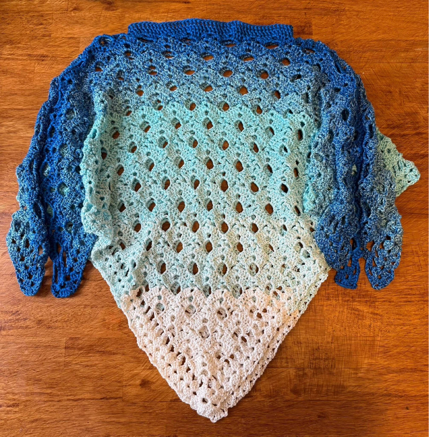 Hand-Crocheted Ombre Blue Butterfly Poncho