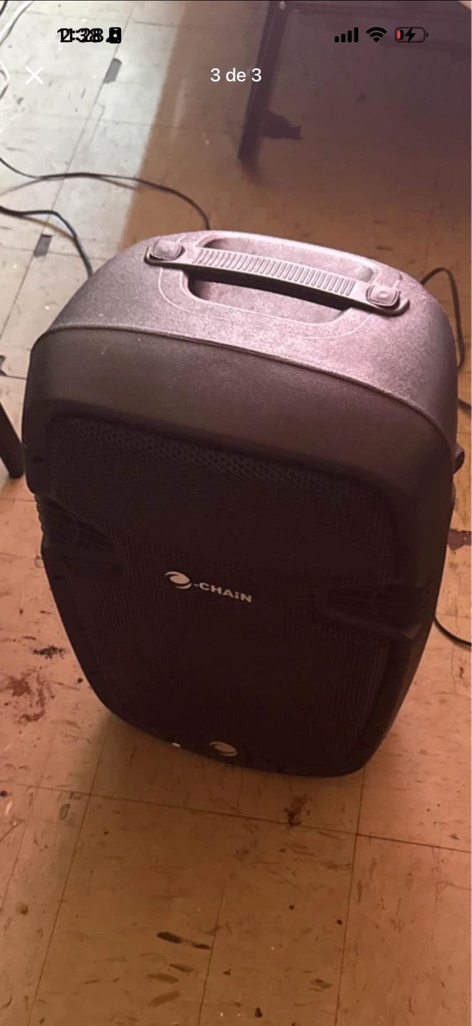 Chain PA Speaker - photo 2