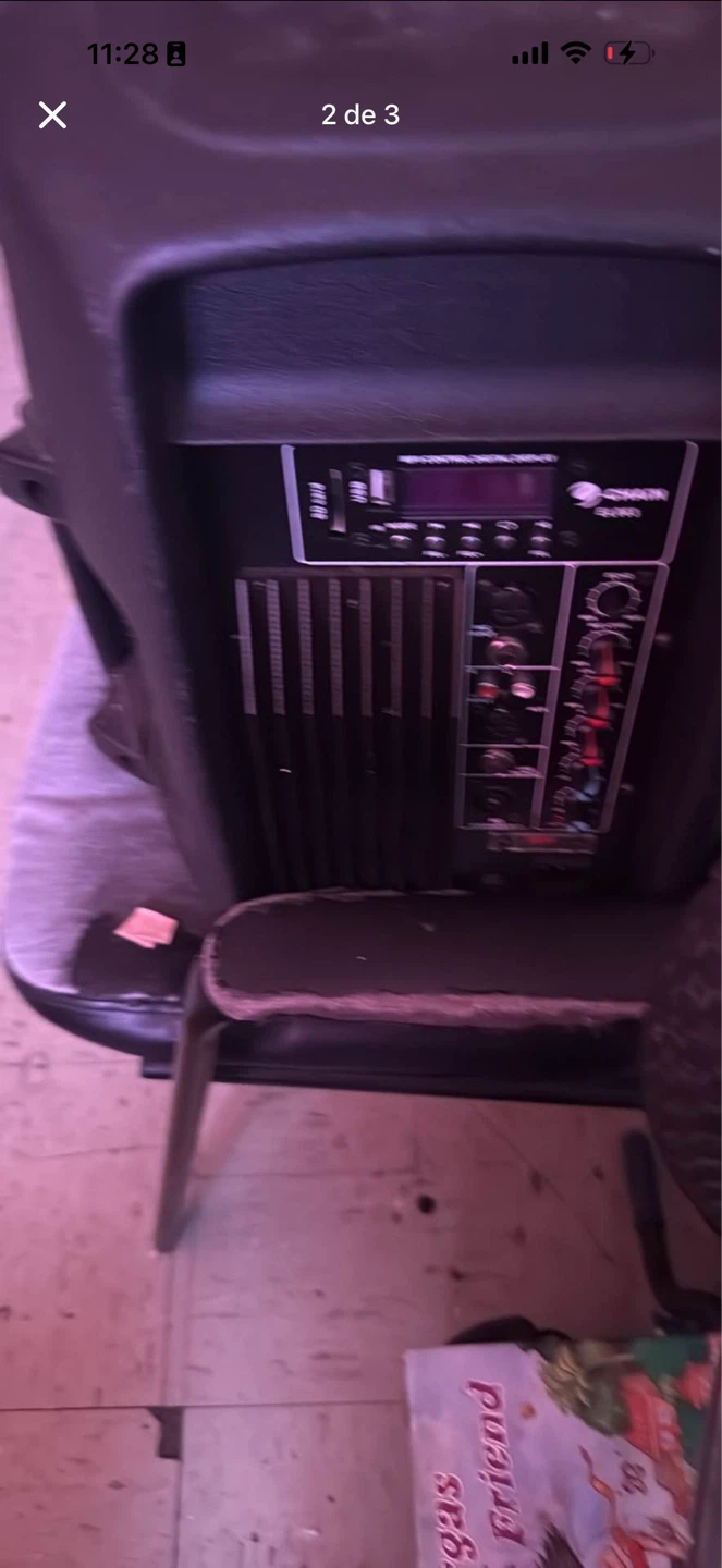 Chain PA Speaker - photo 3