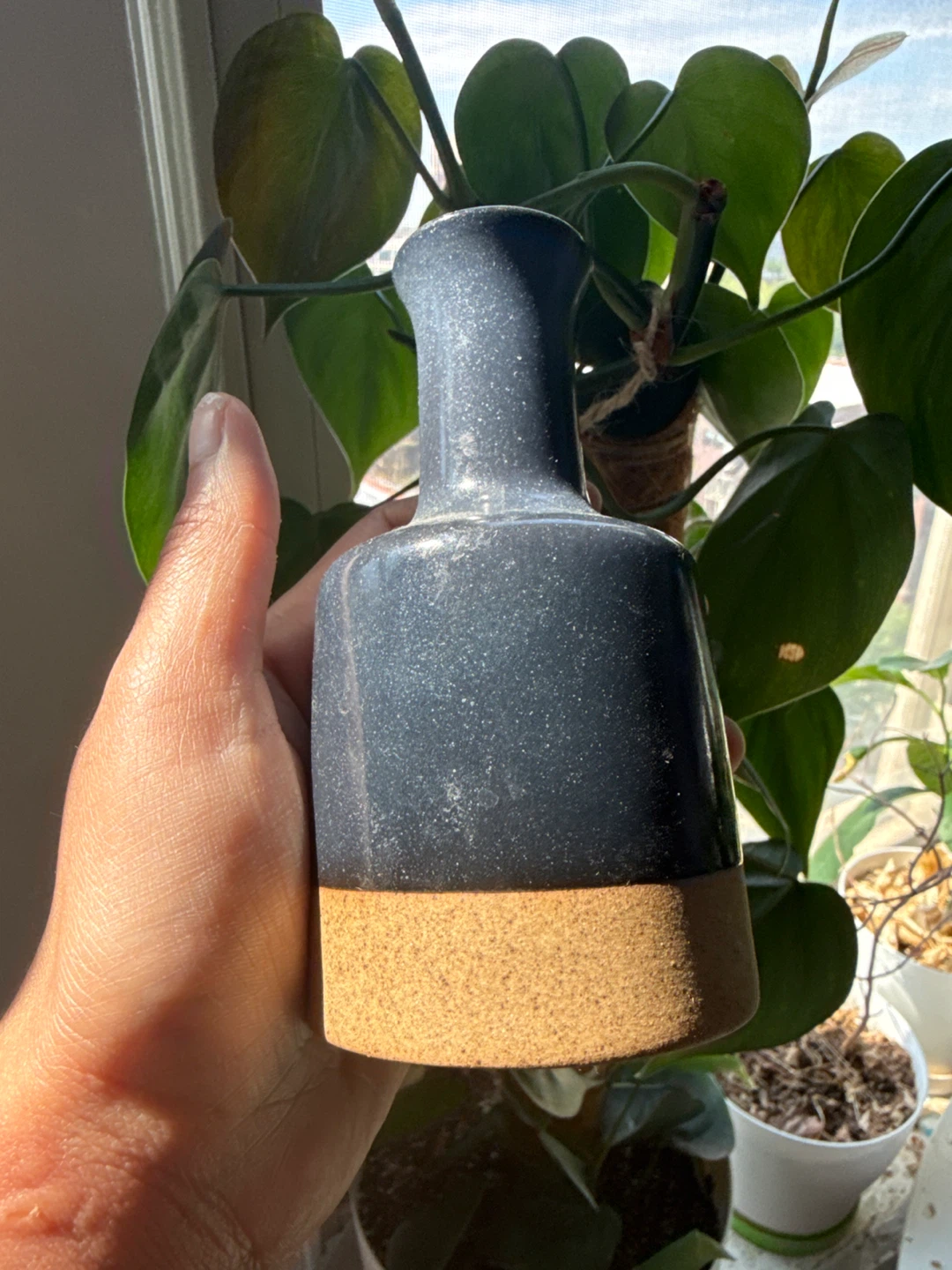 Houseplant Ashtray Set by Seth Ceramic - photo 4