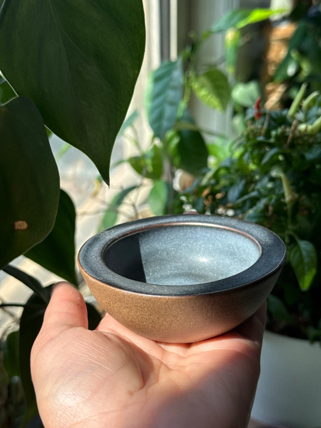 Houseplant Ashtray Set by Seth Ceramic - photo 3