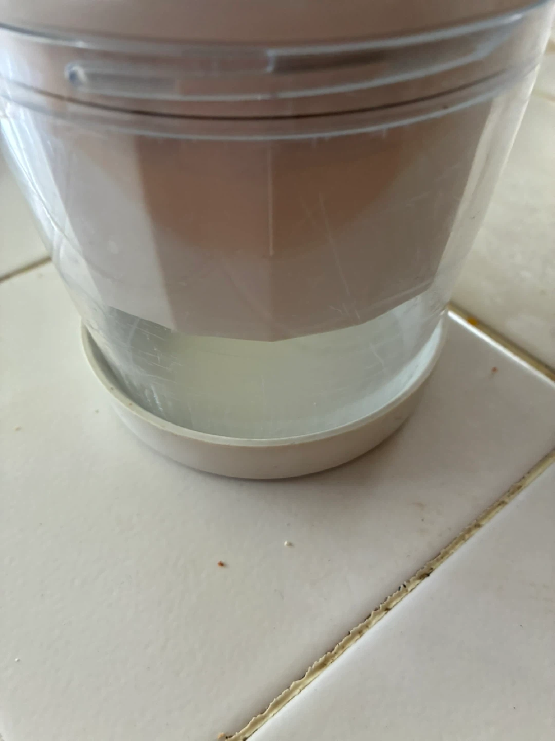 Pampered chef food chopper - photo 4