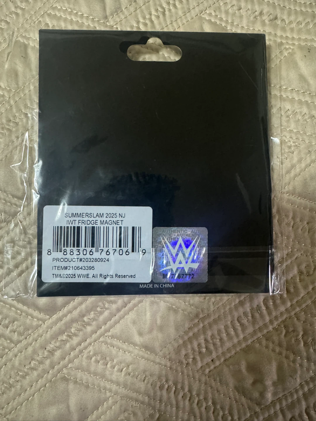 WWE Summerslam 2025 Magnet - photo 4