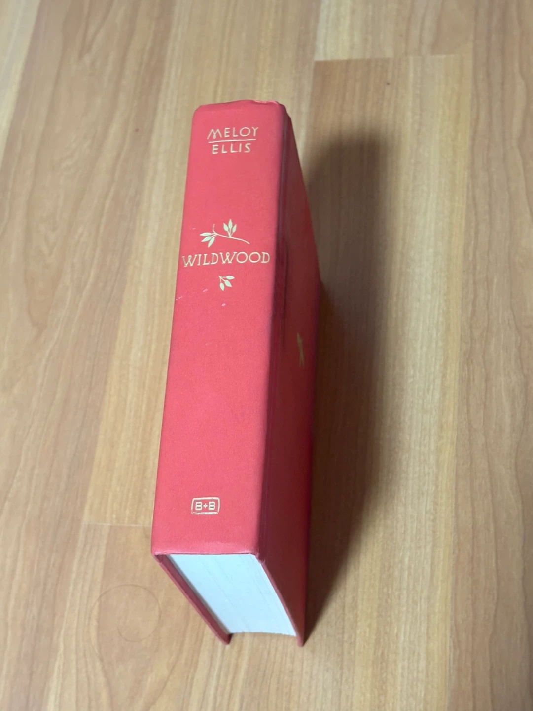 The Wildwood Book $10Firm - photo 2