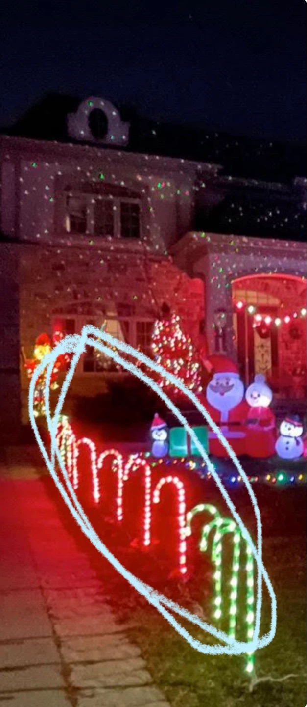 Christmas Decorations - photo 5