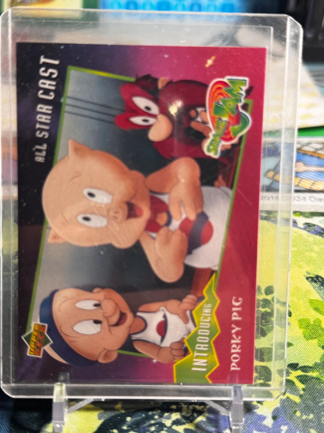 Panini NBA Trading Cards Collection
