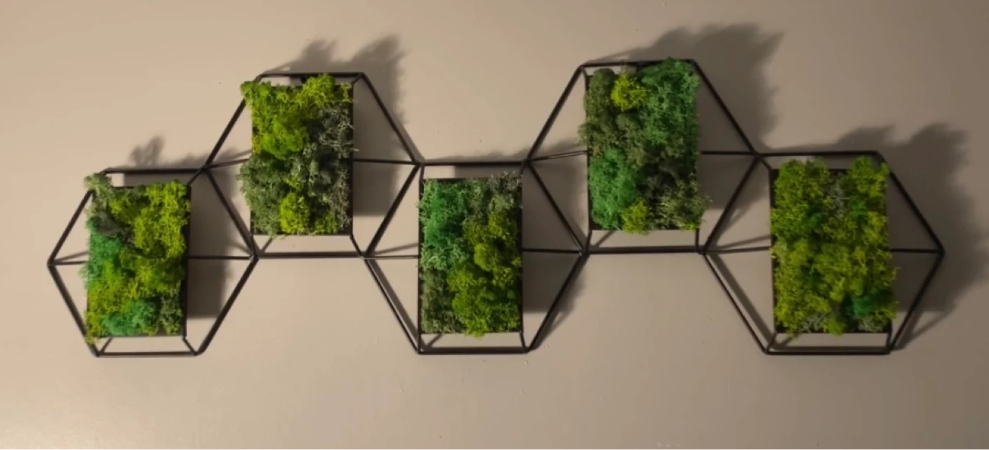 Geometric Hexagon Wall Art with Green Moss