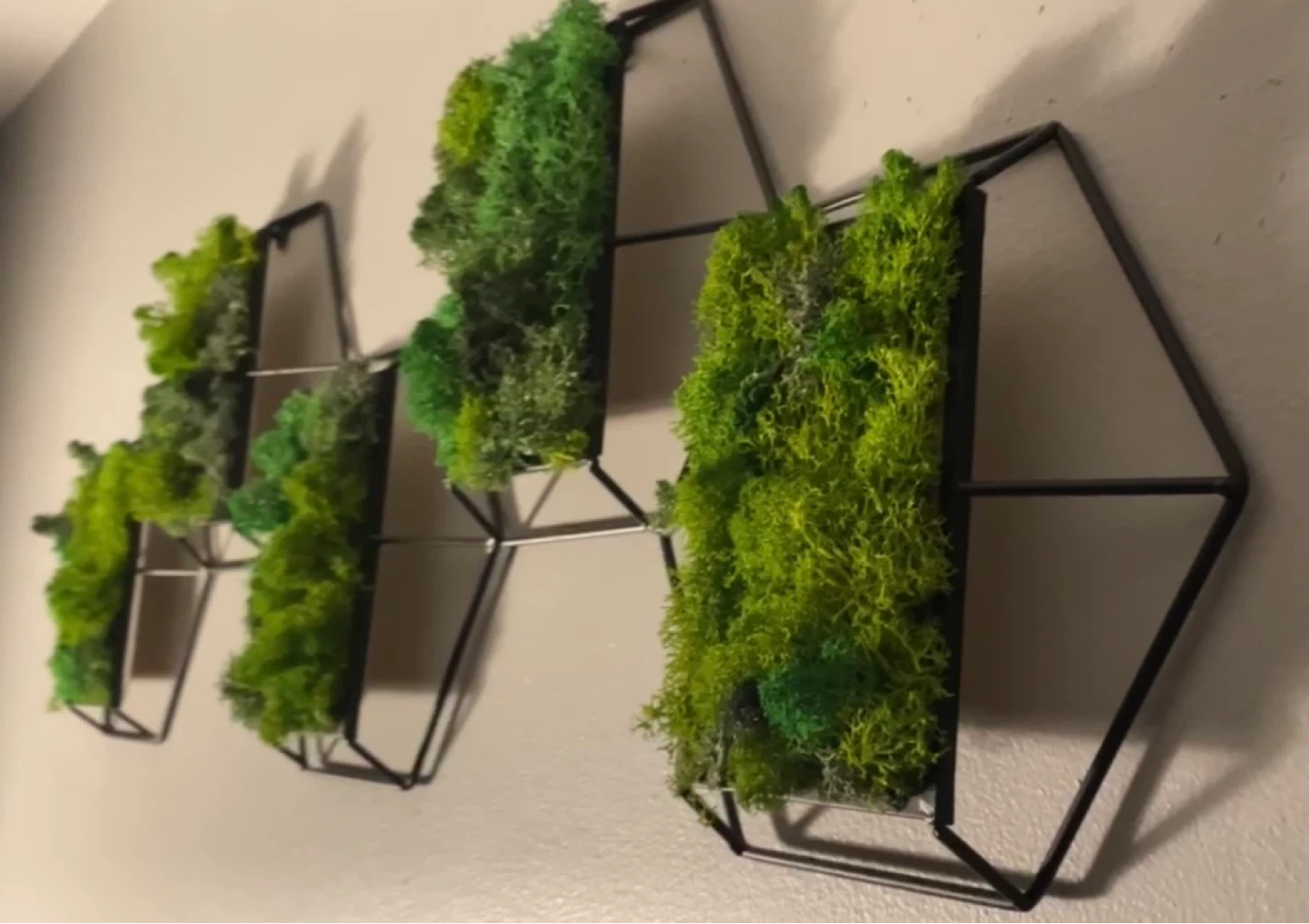 Geometric Hexagon Wall Art with Green Moss - photo 2