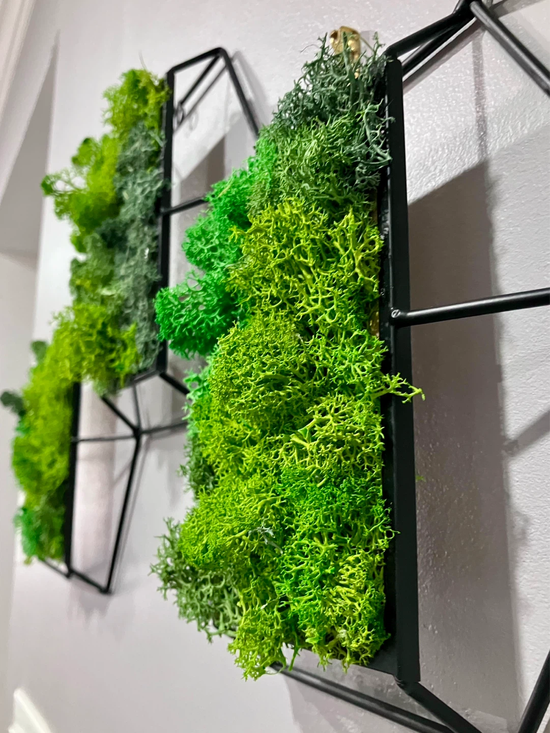Geometric Hexagon Wall Art with Green Moss - photo 3
