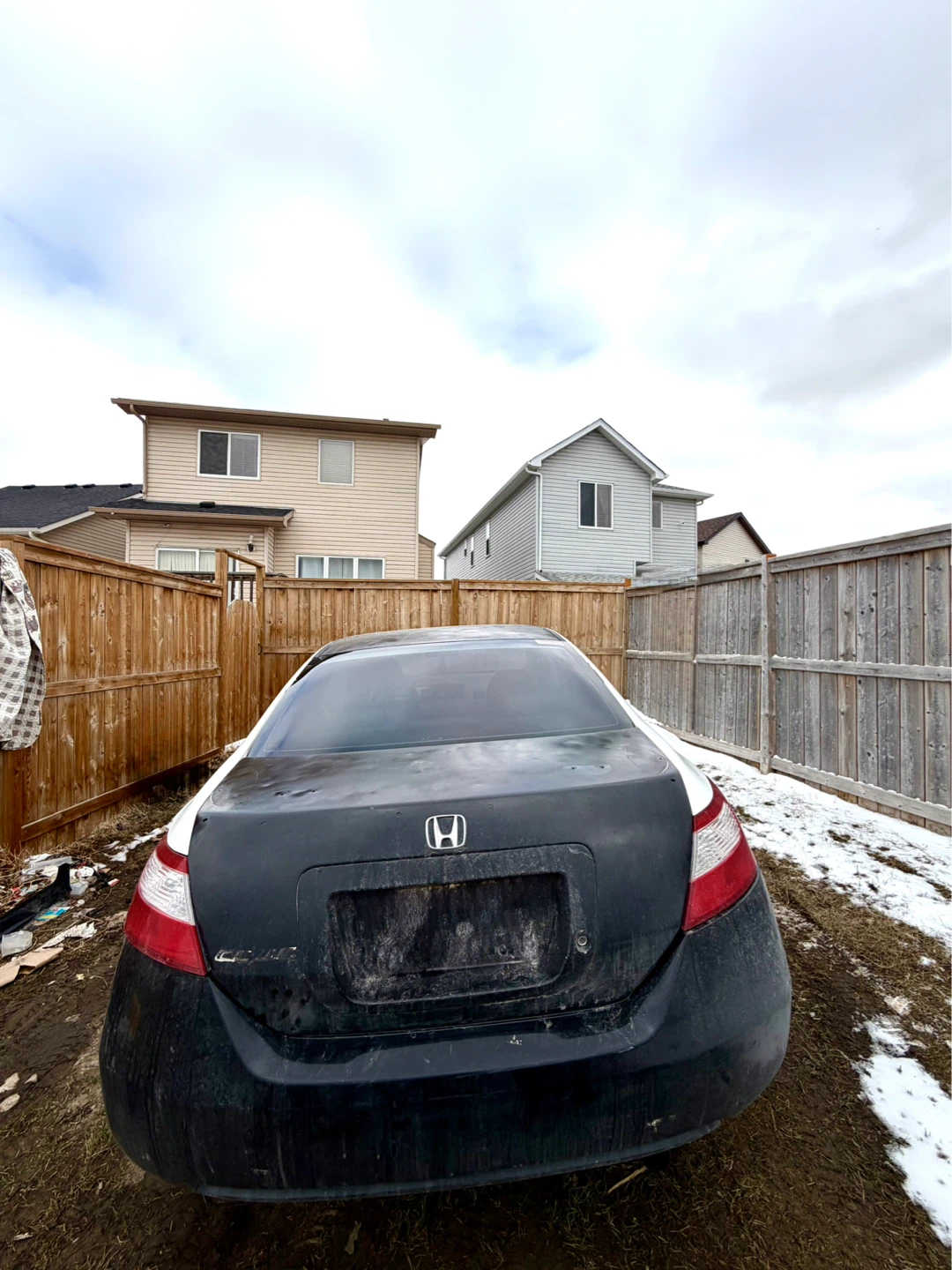 Honda Civic 2008 2dr - photo 5
