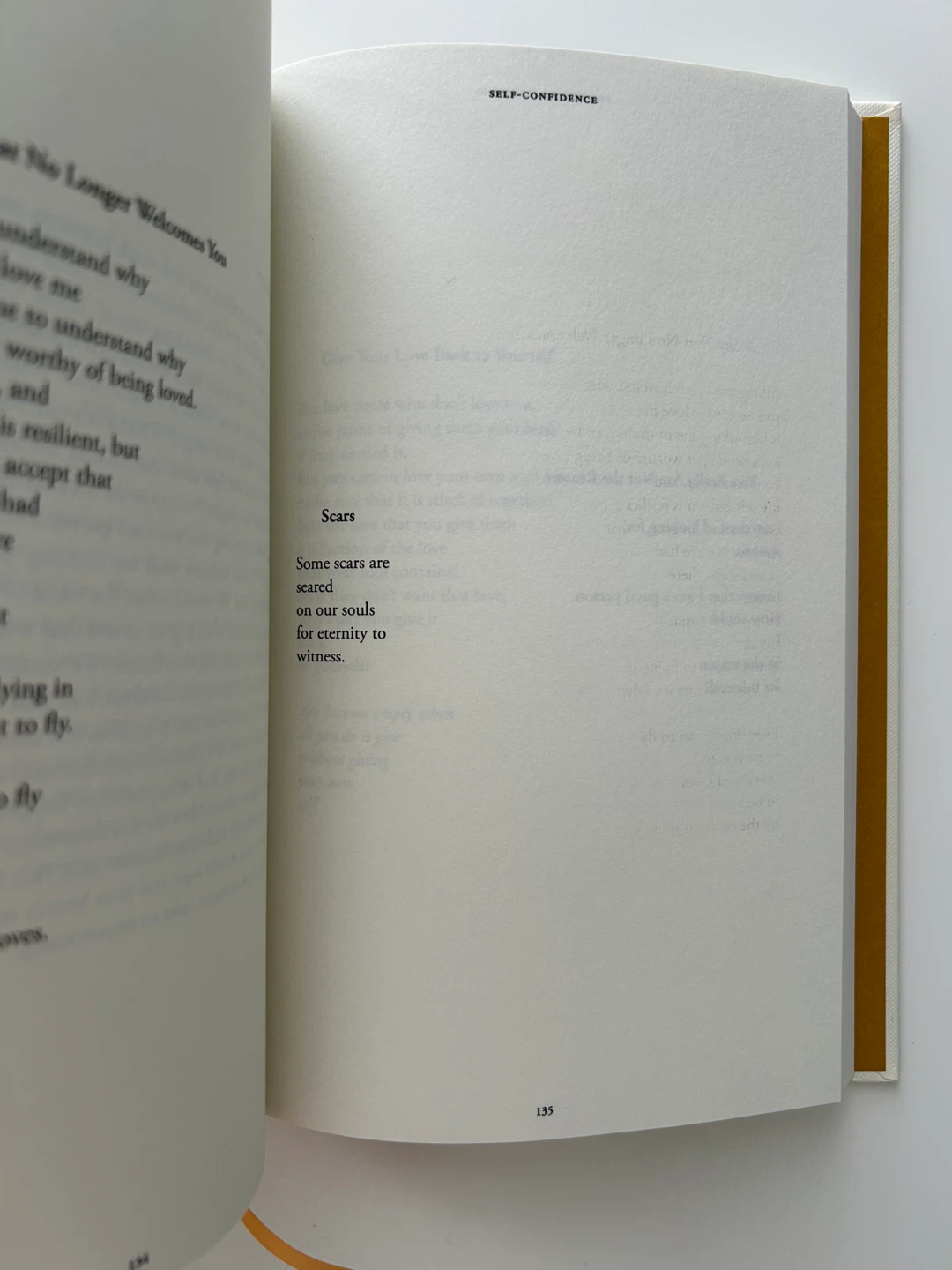 The Book of Healing: Selected Poetry and Prose by Najwa Zebian - photo 3